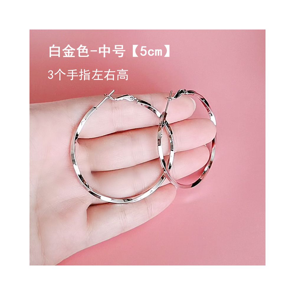 European and American earrings with fashionable temperament 2025 new explosive style exaggerated large circle earrings for women 925 silver needle ear buckle