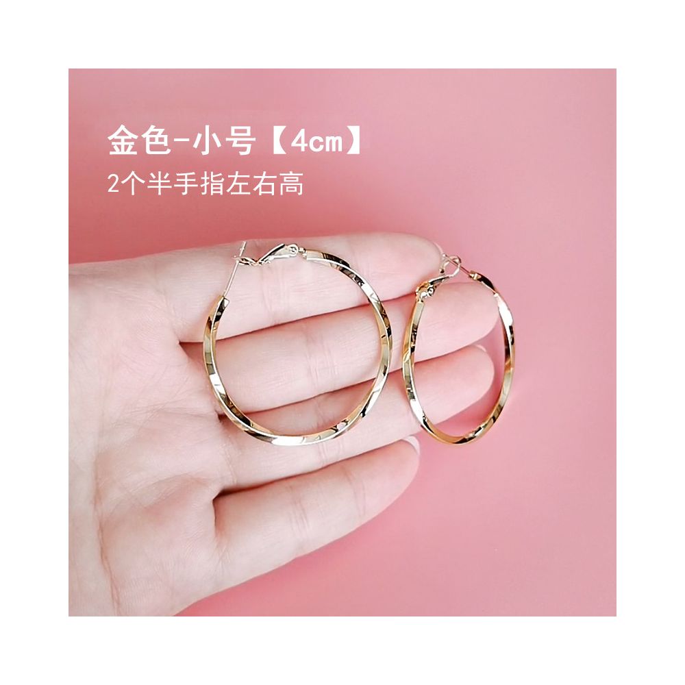 European and American earrings with fashionable temperament 2025 new explosive style exaggerated large circle earrings for women 925 silver needle ear buckle