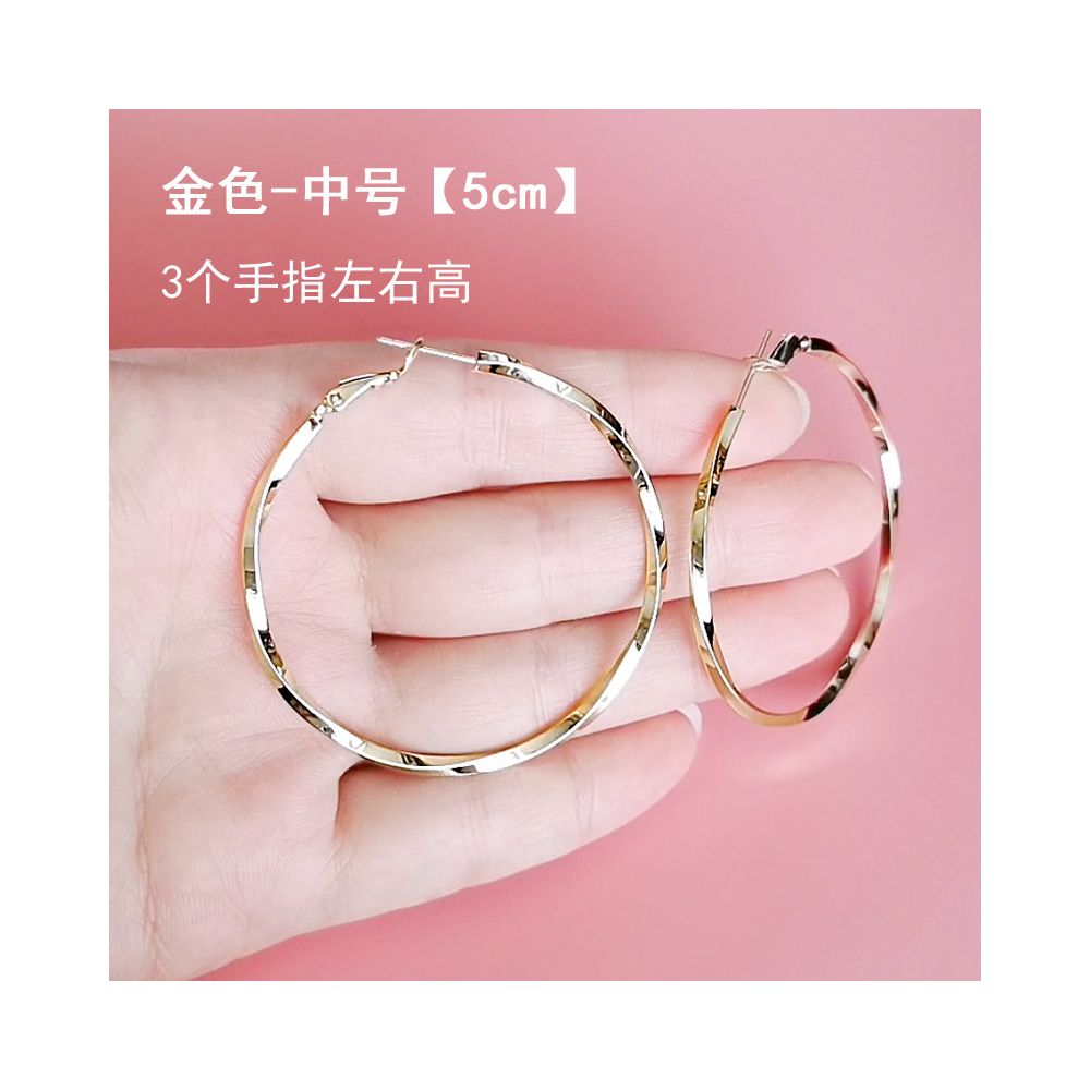European and American earrings with fashionable temperament 2025 new explosive style exaggerated large circle earrings for women 925 silver needle ear buckle