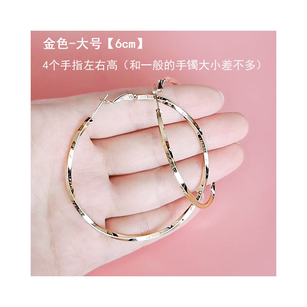 European and American earrings with fashionable temperament 2025 new explosive style exaggerated large circle earrings for women 925 silver needle ear buckle