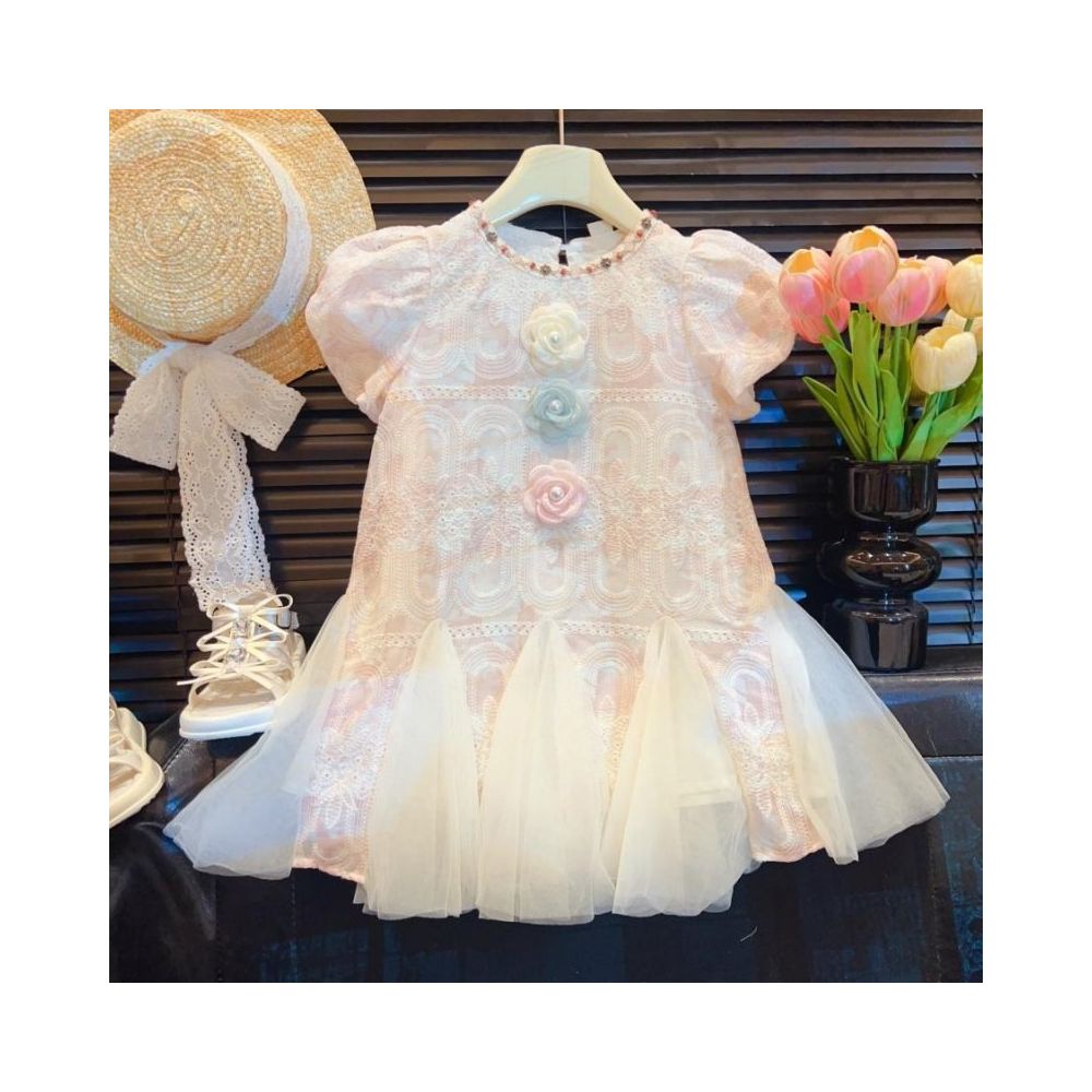 Summer 2025 New Style Girls Lace Bubble Sleeve Skirt Baby Flower Sweet Embroidered Dress