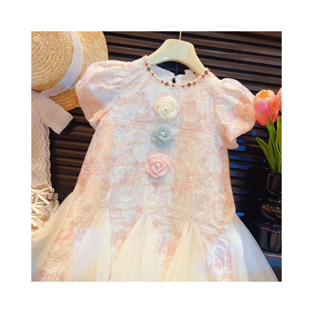 Summer 2025 New Style Girls Lace Bubble Sleeve Skirt Baby Flower Sweet Embroidered Dress image 1