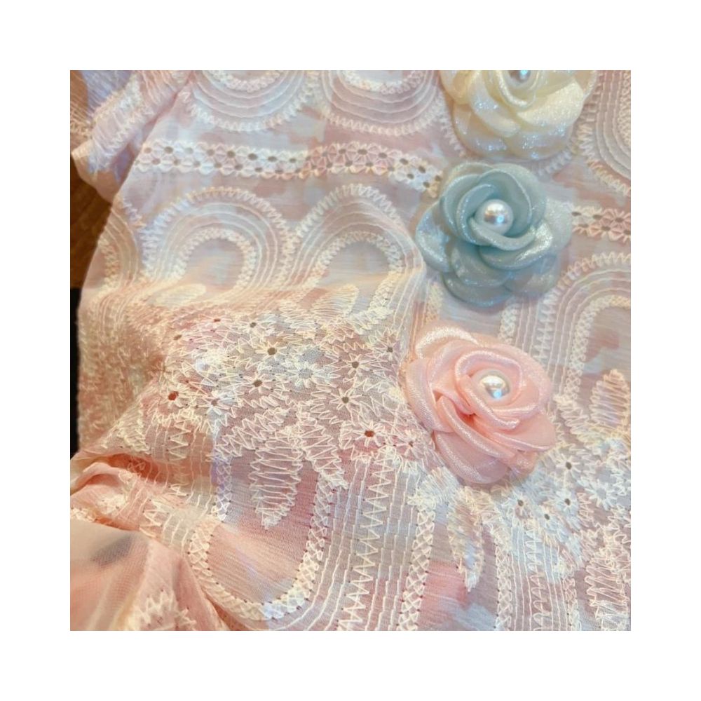 Summer 2025 New Style Girls Lace Bubble Sleeve Skirt Baby Flower Sweet Embroidered Dress image 2