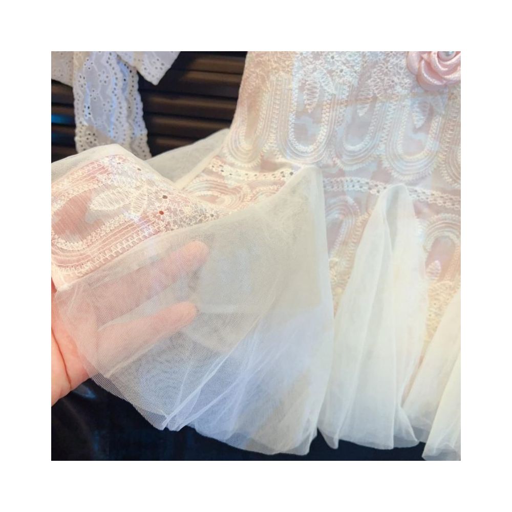 Summer 2025 New Style Girls Lace Bubble Sleeve Skirt Baby Flower Sweet Embroidered Dress image 4