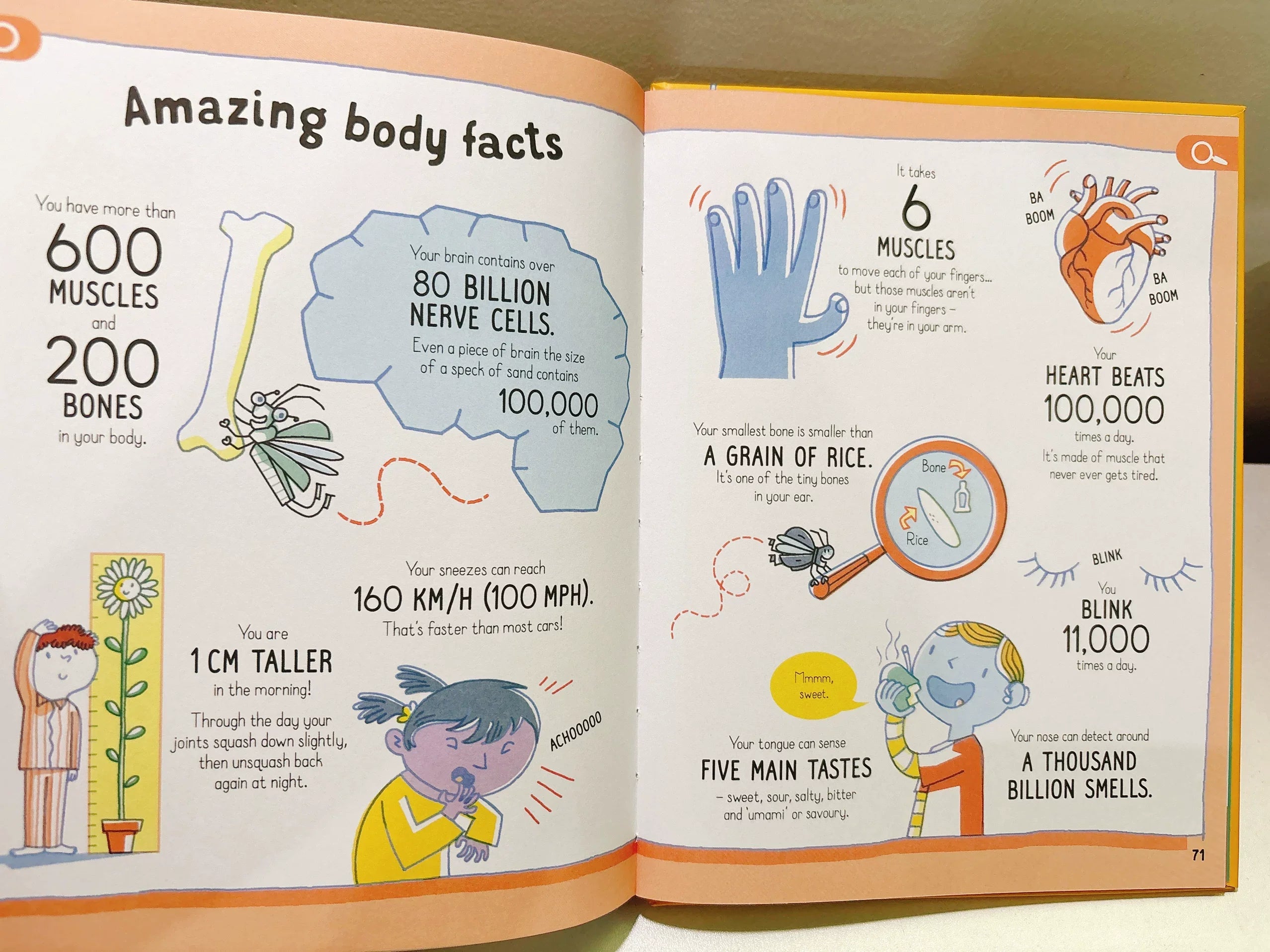 All You Need to Know about Your Body by Age 7 Children Educational English Picture Reading Book