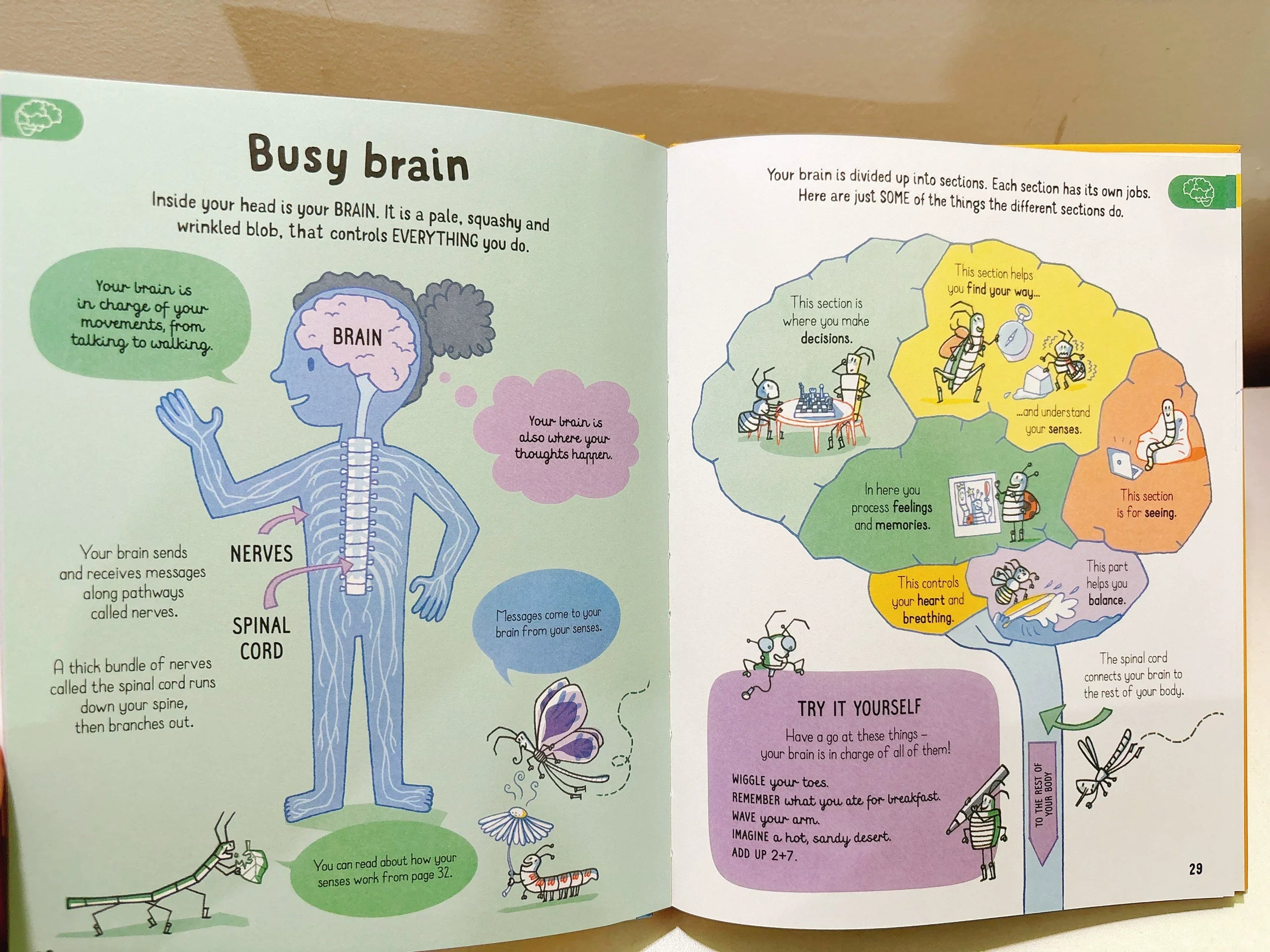 All You Need to Know about Your Body by Age 7 Children Educational English Picture Reading Book